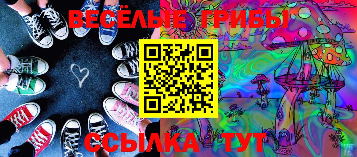 Гусиноозёрск  Галлюциногенные грибы GOLDEN TEACHER  Вход с VPN  Псилоцибиновые грибы Psilocybine cubensis 