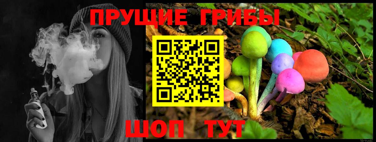 Псилоцибиновые грибы Psilocybine cubensis Гусиноозёрск